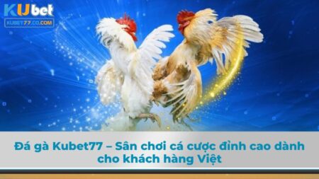 Đá gà Kubet77